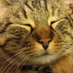 Sunbay Due di Moretti Santi