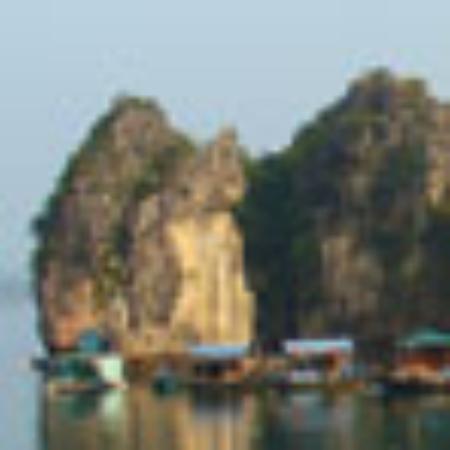 Vini del Castello Montefioralle