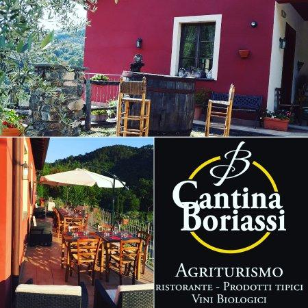 Agriturismo Cantina Boriassi