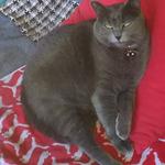 Che Bolle in Pentola?