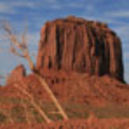 Pasticceria Dolce Morso