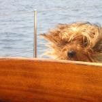 La Bottega Maremmana