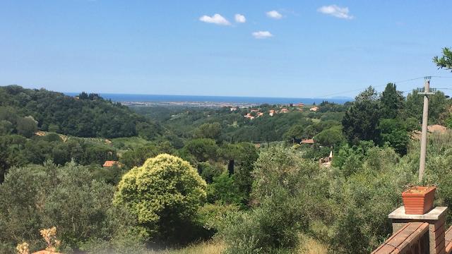 Osteria Pizzeria Il Forapaglia