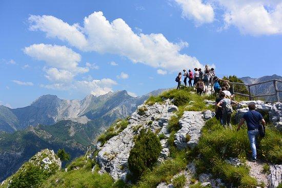 Orto Botanico "Pietro Pellegrini"