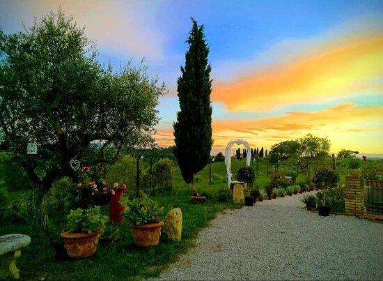 Ristorante Ficopazzo