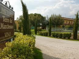 Fattoria Terre del Marchesato
