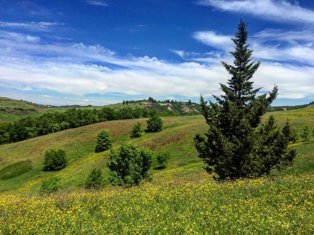Parco Collinare di Canonica
