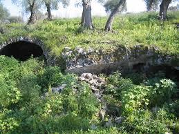 Museo Archeologico Nazionale di Cosa