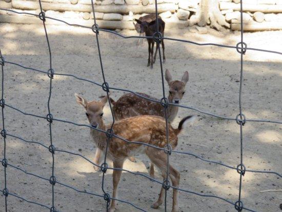 La Capanna Di Lignano