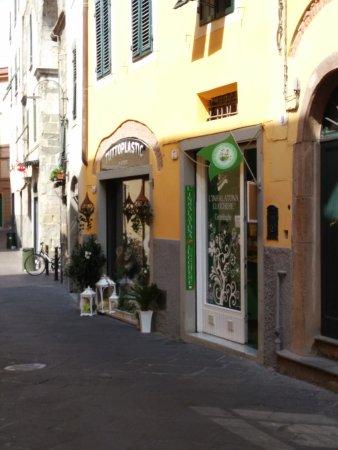 L'Insalatona Lucchese