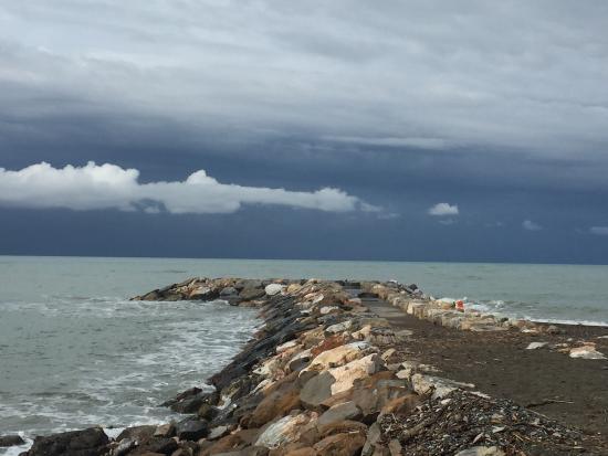 Marina di Bibbona - Marina di Cecina Trail