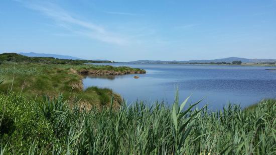 Oasi WWF del Lago di Burano