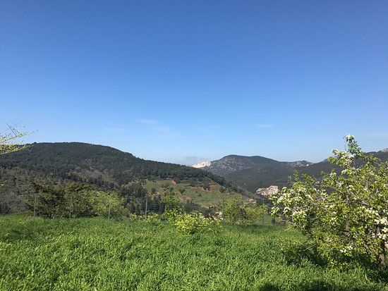 Museo della rocca di Campiglia