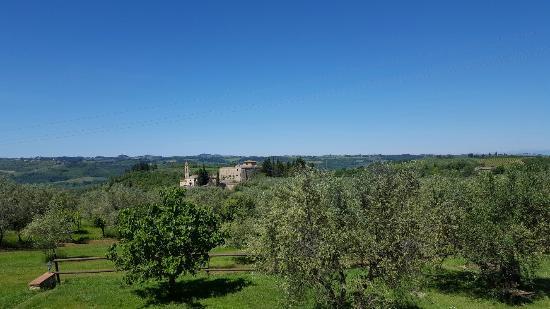 Fattoria di Montefiridolfi