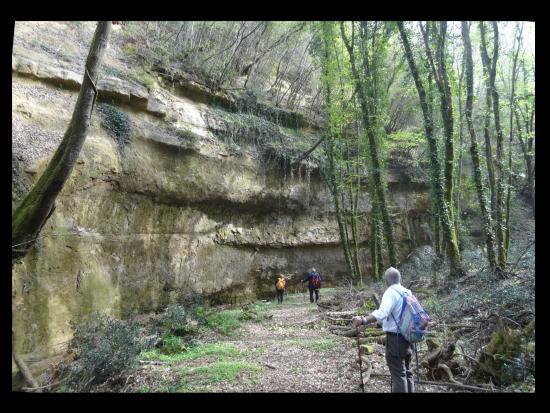 Area naturale protetta di interesse locale Alta Valle del Torrente Carfalo