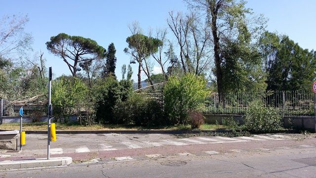 Parco dell'Anconella