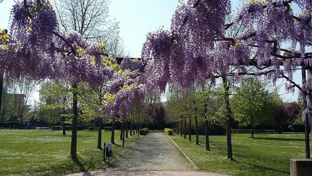 Parco dell'Ambrogiana