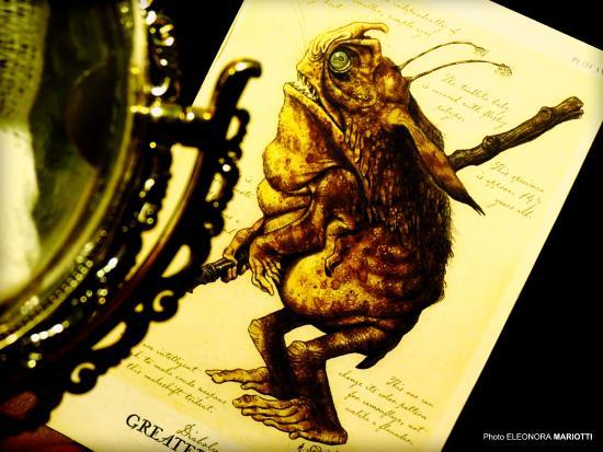 Collezione De Benedettis