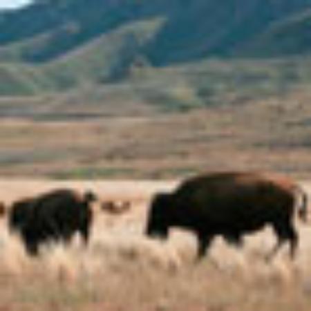 La Taverna del Patriarca