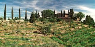 Antico Podere Gagliole